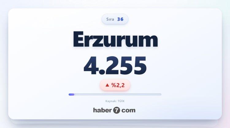 <p><span style="color:#B22222"><strong>36)&nbsp; ERZURUM</strong></span></p>
