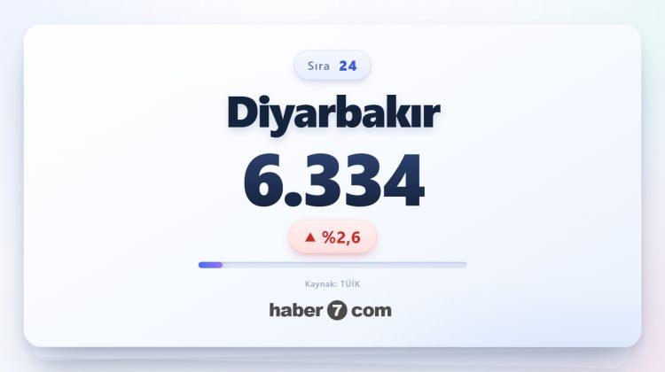 <p><span style="color:#B22222"><strong>24)&nbsp; DİYARBAKIR</strong></span></p>
