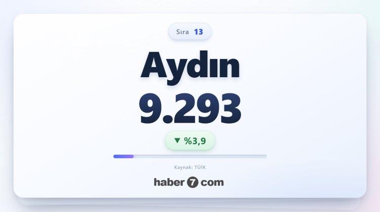 <p><span style="color:#B22222"><strong>13)&nbsp; AYDIN</strong></span></p>

