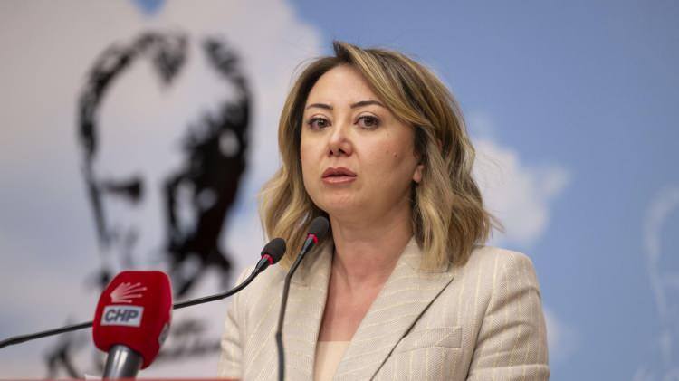 <p><span style="color:#B22222"><strong>MERYEM G&Uuml;L &Ccedil;İFT&Ccedil;İ BİNİCİ</strong></span></p>
