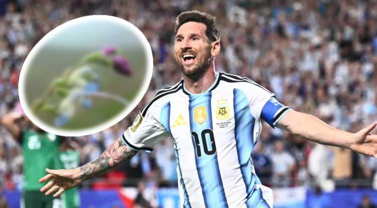 Messi&rsquo;nin ismi Peru&rsquo;da keşfedilen yeni bitki t&uuml;r&uuml;ne verildi