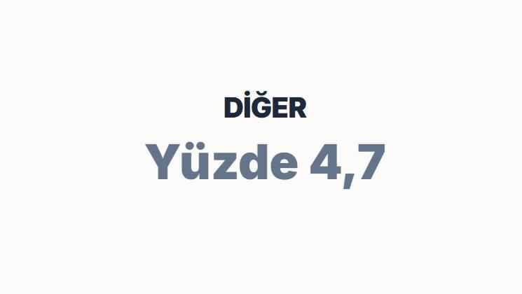 <p><span style="color:#B22222"><strong>DİĞER&nbsp;</strong></span></p>
