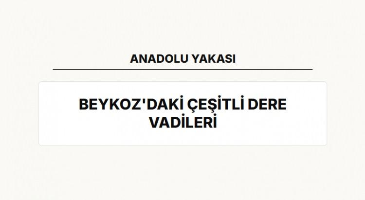<p><span style="color:#B22222"><strong>BEYKOZ'DAKİ &Ccedil;EŞİTLİ DERE VADİLERİ&nbsp;</strong></span></p>
