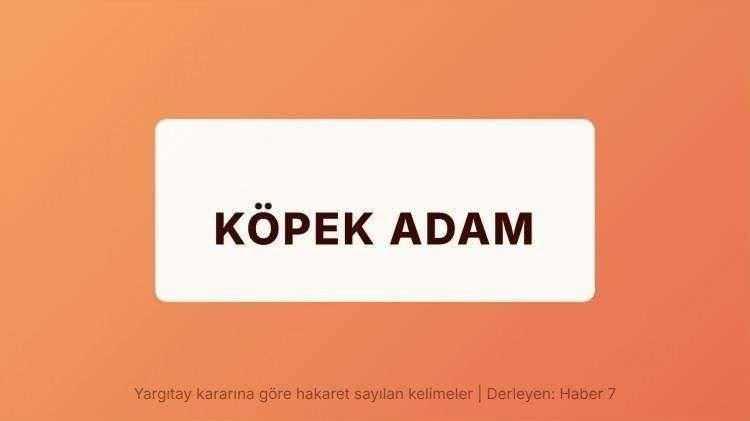 <p><span style="color:#B22222"><strong>K&Ouml;PEK ADAM</strong></span></p>
