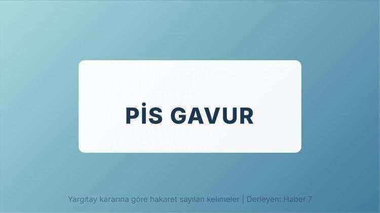 <p><span style="color:#B22222"><strong>PİS GAVUR</strong></span></p>
