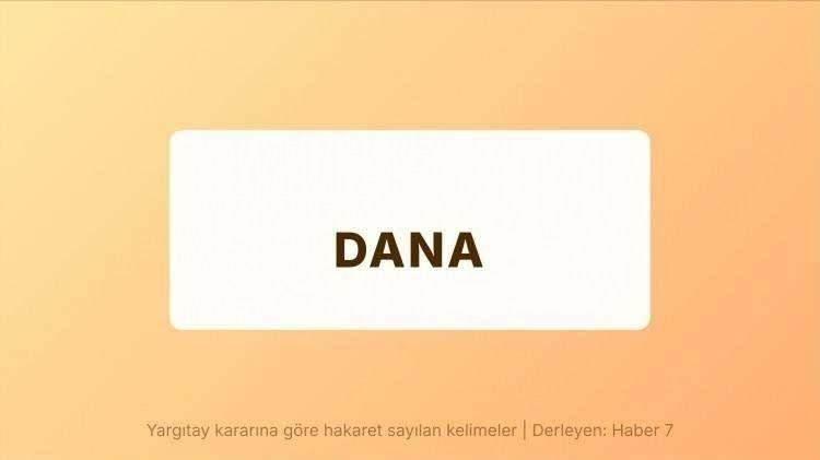 <p><span style="color:#B22222"><strong>DANA</strong></span></p>

