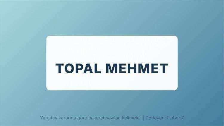 <p><span style="color:#B22222"><strong>TOPAL MEHMET</strong></span></p>
