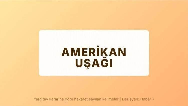 <p><span style="color:#B22222"><strong>AMERİKAN UŞAĞI</strong></span></p>
