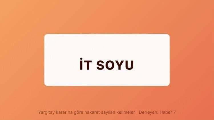 <p><span style="color:#B22222"><strong>İT SOYLU</strong></span></p>
