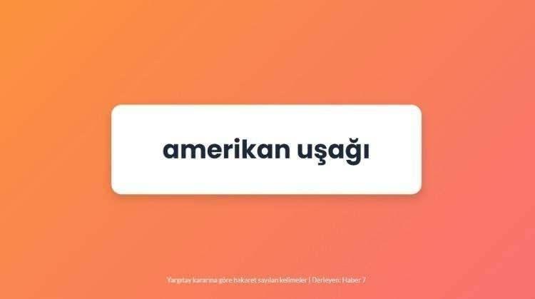 <p><span style="color:#B22222"><strong>AMERİKAN UŞAĞI</strong></span></p>
