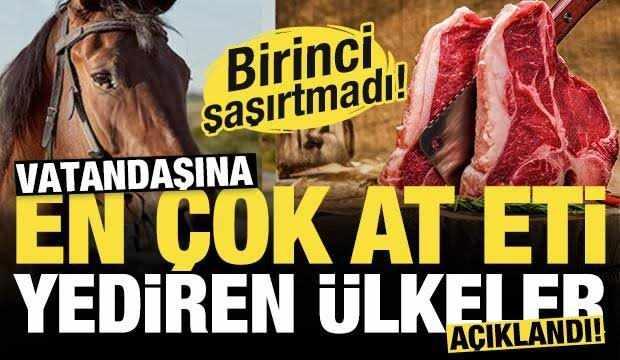<p><span style="color:#B22222"><strong>VATANDAŞINA EN &Ccedil;OK AT ETİ YEDİREN &Uuml;LKELER İSE BU ŞEKİLDE!</strong></span></p>
