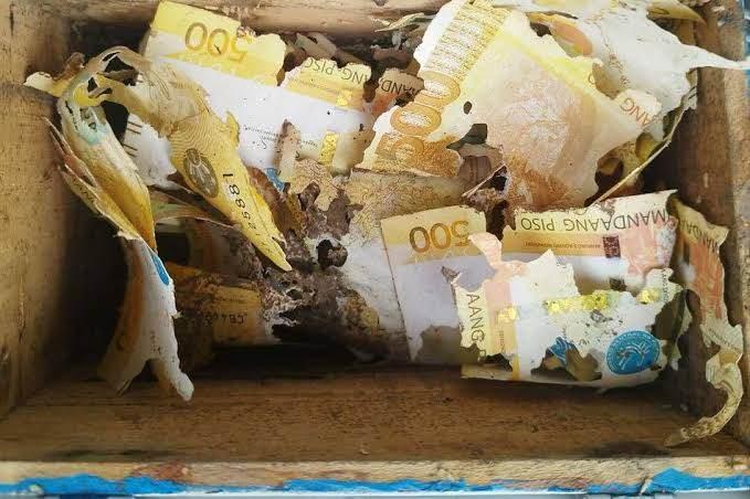 <p>Yaşadığı olayın ardından kasada para saklamanın her t&uuml;rl&uuml; riske karşı koruma sağlamadığını dile getiren Irin, bankanın zarar g&ouml;ren banknotlar i&ccedil;in &ouml;deme yapılabileceğini s&ouml;ylediğini ancak kendisine verilecek tutarın kaybettiği miktarla aynı olmadığını aktardı.</p>

<p>&nbsp;</p>
