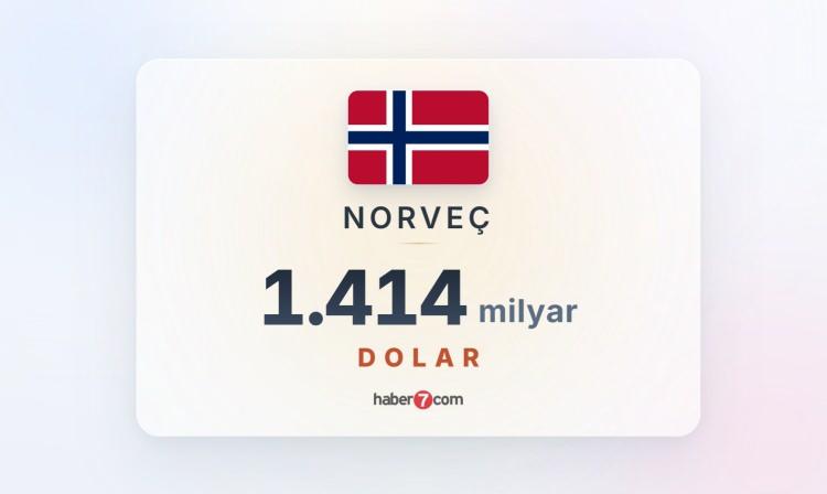 <p><span style="color:#B22222"><strong>8) NORVE&Ccedil;</strong></span></p>
