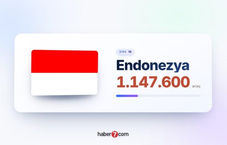 <p><span style="color:#B22222"><strong>15)&nbsp; ENDONEZYA</strong></span></p>
