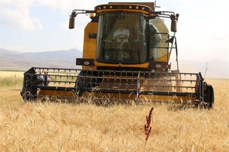 <p><strong>Karbon ayak izi: </strong>Bir kişinin, şirketin, &uuml;r&uuml;n&uuml;n veya faaliyetin doğrudan ve dolaylı olarak neden olduğu toplam sera gazı emisyonunun karbondioksit eşdeğeri &uuml;zerinden hesaplanması.</p>
