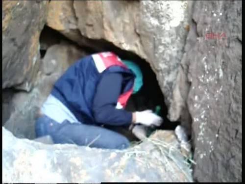 Gürpınar ve Gevaş Cumhuriyet Başsavcılığı'nın talimatı ile ele geçirilen sigaralara el konulurken, soruşturmaya çok yönlü olarak devam ediliyor.