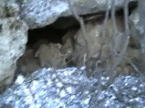 Olayla ilgili olarak Başkale Cumhuriyet Başsavcılığı'nca verilen talimat doğrultusunda, ele geçirilen malzemeler muhafaza altına alınarak tahkikata başlandı.