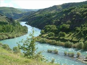 BİNGÖL Genel sıralamada: 74 Ekonomi: 74 Eğitim: 68 Sağlık: 56 Güvenlik: 59 Kent hayatı: 56 Kültür sanat: 52