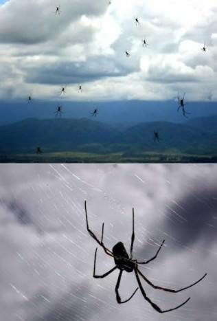 <p>Örümcek yağmuru; Arjantin 6 Nisan 2007′de Arjantin’in Salta kasabasına tatile giden Christian Oneto Gaona ve arkadaşları San Bernardo Dağları’na tırmandı. Tırmanma yolculuğuna başladıktan yaklaşık iki saat sonra gökten farklı renklerde örümcek yağmaya başladı. Christian elindeki kamerayla bu yağmuru görüntülemeyi başardı.</p>