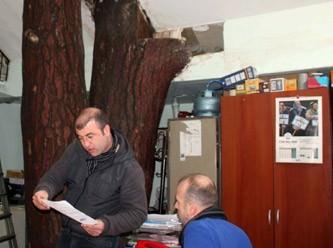 Alınan bilgiye göre yaklaşık 40 yıl önce yapılan binanın inşası sırasında o dönemim belediye yönetimi tarafından kesilmesine izin verilmeyen çam ağacı, yıllar içinde söz konusu binada hizmet veren kurum ve kuruluşlar tarafından korunmaya devam edildi.