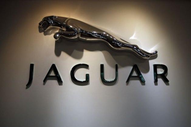 <p>Jaguar - İngiliz Malı</p>
