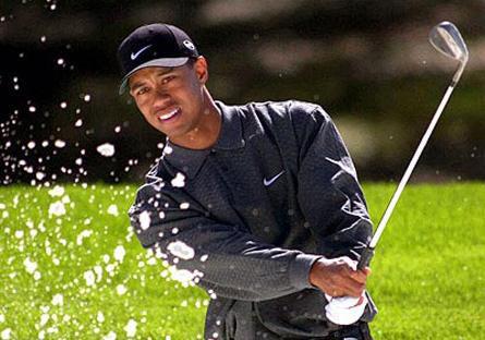 1- Tiger Woods  Sporcular arasında en değerli marka 38 milyon dolarla golf yıldızı Tiger Woods. Bunda Woods’un Nike ile olan sponsorluk anlaşmasının büyük payı var.