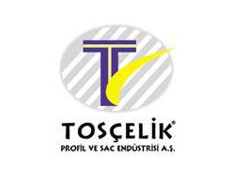 <p>22.Tosçelik Profil ve Sac Endüstrisi 2.301.546.781 TL</p>