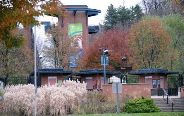  ABD'deki bir hayvanat bah&ccedil;esinde Afrika k&ouml;peklerinin yaşadığı &ccedil;itle &ccedil;evrili alana d&uuml;şen &ccedil;ocuk &ouml;ld&uuml;. 