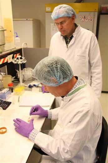 <p>'Frankenburger', "yapay burger" olarak da adlandırılan "kök burger", Hollanda'daki Maastricht Üniversitesi'nden bilim adamlarının beş yıllık çalışması sonucu laboratuvar ortamında kök hücrelerden üretilmişti.</p>