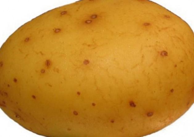 <p>Patates</p>