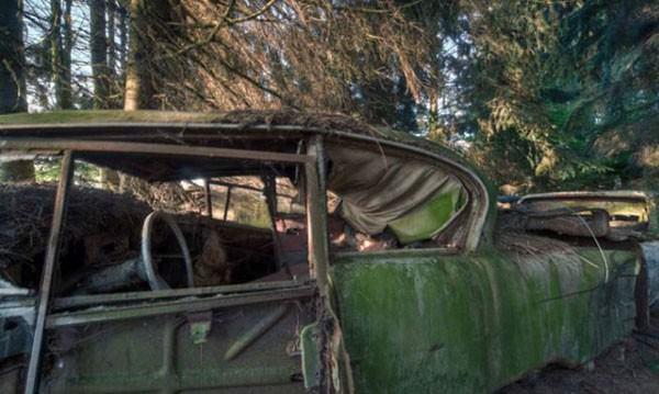 <p>ABD'li askerlerin bıraktığı ara&ccedil;lar sıradışı bir manzara oluşturmuş.</p>