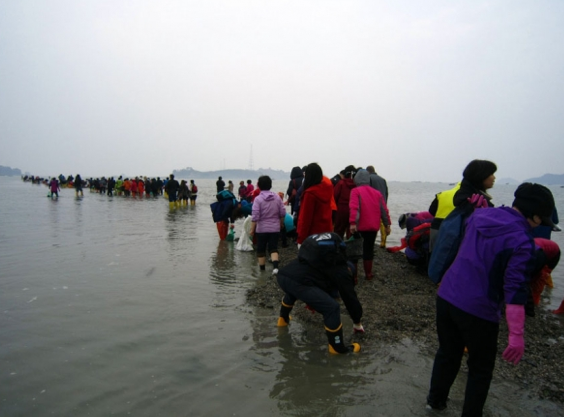 O g&uuml;nden bu yana bu efsane i&ccedil;in adada toplanan Koreliler, aynı yolu y&uuml;r&uuml;yerek ge&ccedil;erek Tanrıya dua ediyorlar.