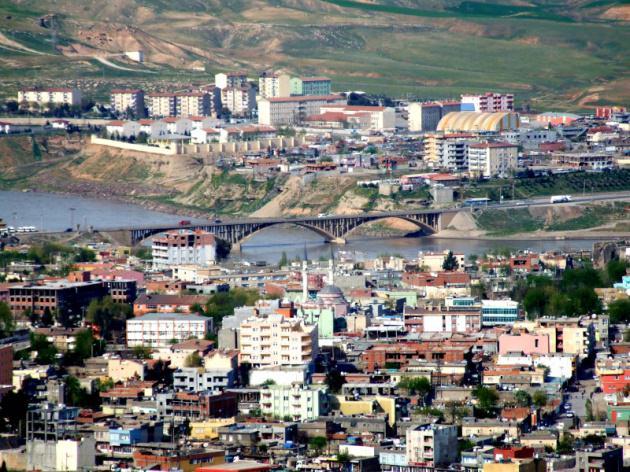 <p>Cizre - 33 adet</p>