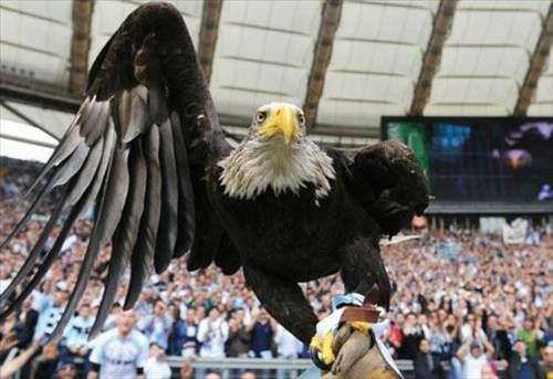 <p>Lazio - Kartallar</p>