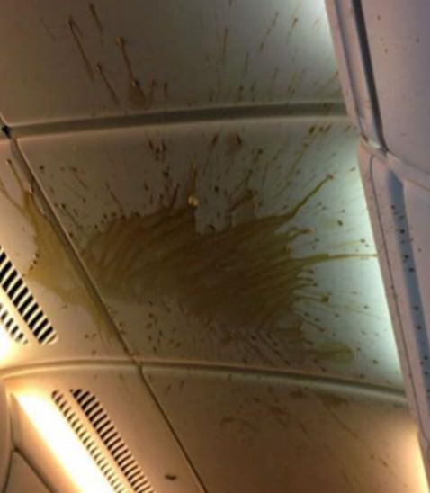 T&uuml;rb&uuml;lans, u&ccedil;akta kahvaltı servisinin olduğu sırada meydana gelince ortalık savaş olanına d&ouml;nd&uuml;.