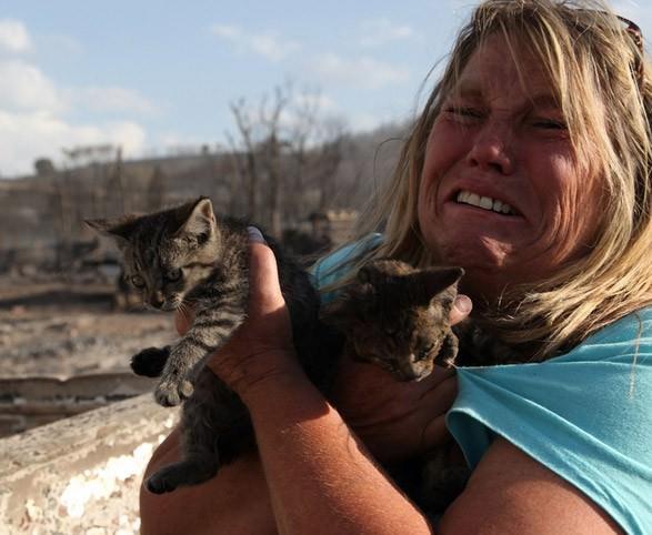 Tammy Lance, yangından sağ kurtulan kedi yavruları için göz yaşlarına hakim olamıyor. Utah. 