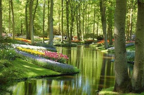 Keukenhof Bahçeleri, Hollanda
