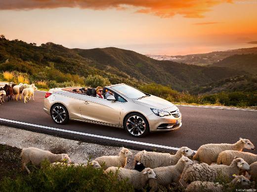 <p>Opel: ADAM, Cascada Opel, kurucusunun adını taşıyan retro modeli ADAM’ı Mart ayı başında ithal etmeye başladı. Binlerce farklı kombinasyonu olan aracın Jam, Glam ve Slam olmak üzere üç farklı model seçeneği var. ADAM’da 70 beygir güç üreten 1.2 litre benzinli motor yer alıyor. Opel, ADAM ile henüz marka ile tanışmamış yeni müşteriler kazanmayı hedefliyor. Opel’in bir diğer yeniliği Astra’nın cabriosu Cascada olacak. Spor otomobil Haziran ayı sonunda pazarda yerini alacak. Kumaş tavanlı Cascada, 1 benzinli, 1 dizel olmak üzere 2 farklı motor seçeneği ile satılacak. 170 beygir gücündeki 1.6 SIDI ECOTEC Turbo motor tamamen yeni bir motor teknolojisi olarak Cascada ile birlikte gelecek. 2.0 CDTI dizel motor ise 6 ileri manuel şanzıman ile 165 beygir güç ve 380 Nm tork sağlıyor.</p>