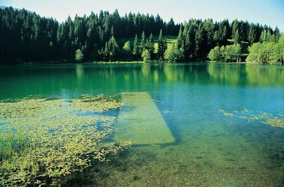 <p><strong>Artvinin her köyü bir yayla</strong><br />
Artvinin de yüzde 51ini yaylalar oluşturuyor. Burada, Sahara Yaylası (Savsat), Bilbilan Yaylasi (Ardanuc), Kafkasor Yaylasını (Merkez) görebilirsiniz. Vadiler de bunların arkasından gelir.</p>
