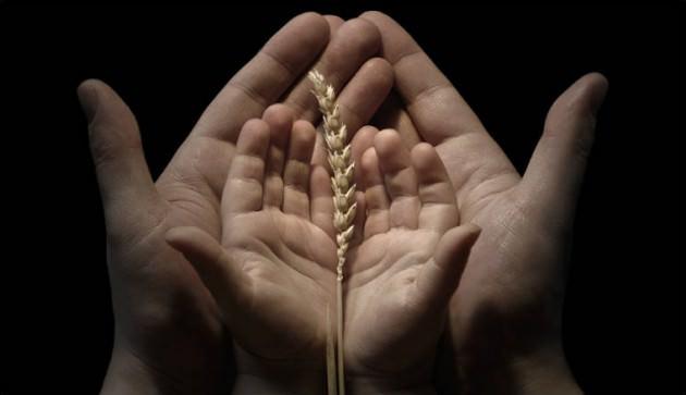 <p><strong>Anlamı:<br /></strong>Bize nimetlerini yediren, i&ccedil;eren ve bizi m&uuml;sl&uuml;manlardan yapan Allah'a hamd olsun.</p>
<p>&nbsp;</p>
<p><strong></strong><br />&nbsp;</p>