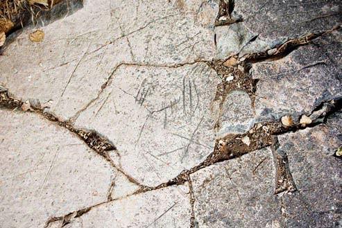 50 bin yıl önceki genom haritası-   Sibirya'da Altay Dağları'ndaki bir mağarada, 50-60 bin yıl önce yok olmuş Denisovan insan türünün kalıntıları 2008'de bulunmuştu. Mağarada, 50 bin yıl önce ölmüş bir kızın serçe parmağının kemiği ve fosilleşmiş iki azı dişi vardı.   Kemikteki DNA bozulmadan kaldığı için 50 bin yaşındaki kemikten kızın genom haritası çıkartılabildi. Genom haritası, kızın koyu renk tenli olduğunu, saç ve gözlerinin de kahverengi olduğunu ortaya çıkardı.   Almanya-Leipzig'de ve Harvard Tıp Fakültesi'nde çalışan uzmanlar, kızın DNA'sı ile farklı bölgelerde yaşayan 11 insanın DNA'sını karşılaştırdı. Avustralya ve Yeni Gine'de yaşayan Aborjinler'in genlerinde yüzde 3-5 civarında Denisovan türünün geni bulundu. Modern insanın DNA'sında, az miktarda Neanderthal geni olduğu biliniyordu. Yeni buluş modern insanda, daha önce yok olmuş başka insan türlerinin de kalıntısı olabileceğini gösterdi. Bunu belirleyebilmek için, yok olan insan türlerinin kemiklerindeki DNA'ların bozulmamış olması gerekiyor. 