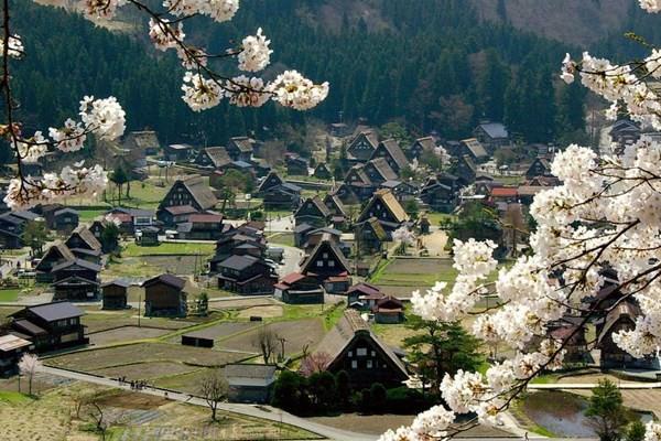 <p>Japonya</p>