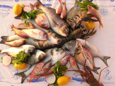 <p>Balık: Omega 3(n-3) yağ asitleri balık yağından elde edilen çoklu doymamış yağ asitlerinin en önemli grubudur. Yeterli balık tüketimi enfeksiyonlara karşı koruyucudur.</p>