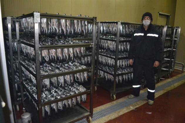 Denize kıyısı olmayan Kahramanmaraş barajları sayesinde balık ihracatında Türkiye genelinde ilk 3’e girmeyi başardı. Dondurması, biberi ve tekstil sektörüyle ünlenen Kahramanmaraş, son yıllarda farklı sektörlerde yapılan yatırımlarla ön plana çıkmaya başladı. Kahramanmaraş’ta Fırnız Çayı üzerinde kurulan irili ufaklı çok sayıda tesiste üretilen alabalıklar, başta Avrupa olmak üzere dünyanın 10 farklı ülkesine ihraç ediliyor.