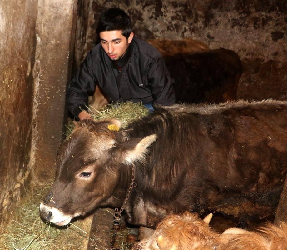 <p>Menderes Eren, AA muhabirine yaptığı açıklamada, 5 yıl önce başladığı bu spor branşında başarılı olmak için çok çaba harcadığını ve sonunda takım arkadaşlarıyla birlikte başarılı sonuçlar elde ettiklerini söyledi.</p>

<p> </p>
