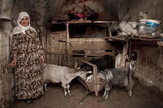 &Ouml;mer Gen&ccedil;al