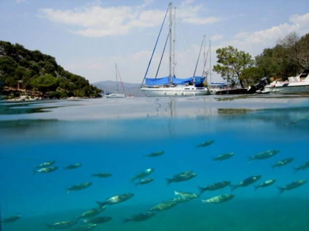 <p>Muğla Fethiye - Göbün Koyu</p>
