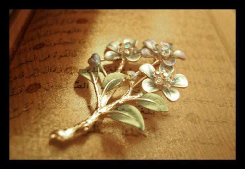   &Acirc;mine validemiz ona hamile olunca, b&uuml;t&uuml;n putlar y&uuml;z&uuml;st&uuml; devrildi. B&uuml;t&uuml;n şeytanlar ve sihir yapan b&uuml;y&uuml;c&uuml;ler &acirc;ciz kalıp, işlerini yapamaz oldular. Doğunca da b&uuml;t&uuml;n putlar yıkıldı. Doğduğu gece, Kisra&rsquo;nın sarayı yıkıldı. Mecusilerin bin yıldan beri yanan ateşi s&ouml;nd&uuml;. Save g&ouml;l&uuml;n&uuml;n suyu kurudu. 