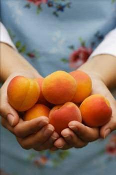 <p>- Acı kayısı çekirdeğinden vitamin B17 üretmek çok kolay iş, fakat bakanlık tanımını henüz yapmadığı için ülkemiz her yıl çok miktarda para kaybediyor.</p>