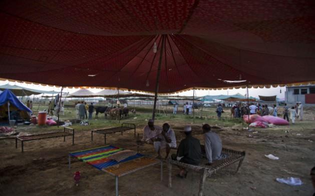 <p>B&uuml;y&uuml;kbaş hayvan kesme alışkanlığının yaygın olduğu &uuml;lkede, kurban pazarları yavaş yavaş dolmaya başladı.</p>